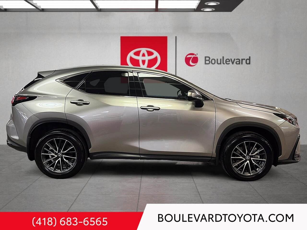 Lexus NX 531799-147 | NX 350 TI 2024 Argent Québec - photo #2