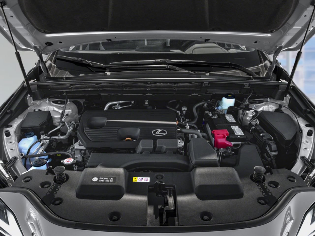 Lexus NX 2025 Blanc Gatineau - photo #13