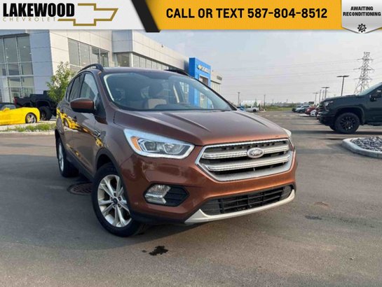 2017 Ford Escape 2017 Beige