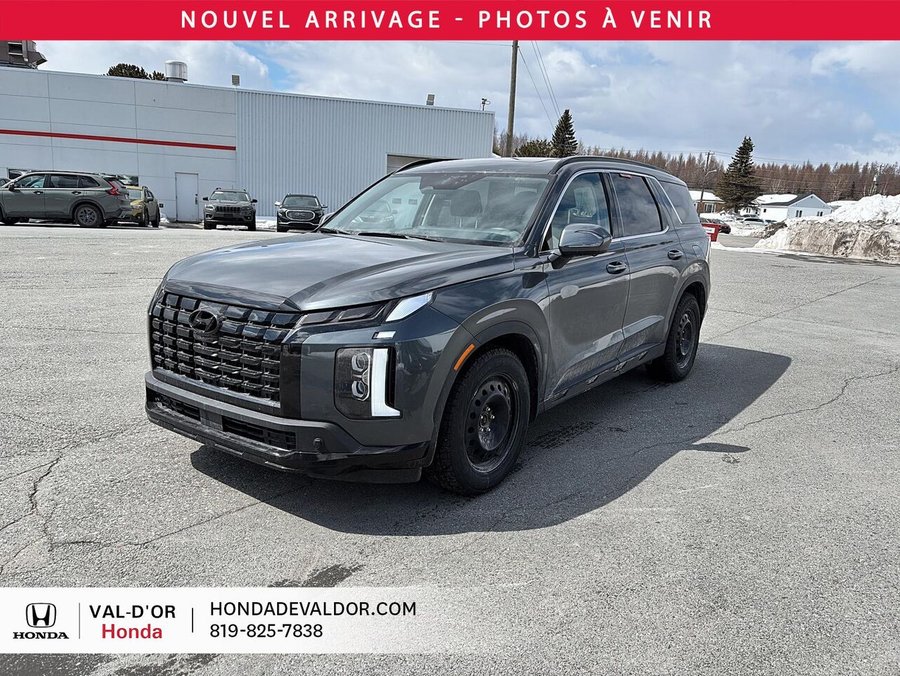 Hyundai Palisade 2025 2025 Gris