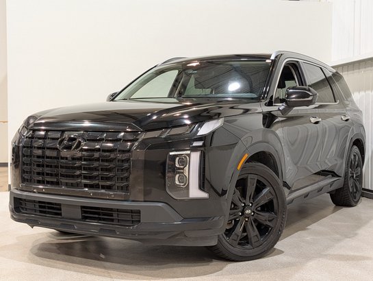 2023 Hyundai Palisade Black