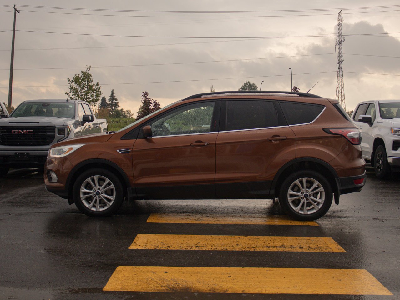 2017 Ford Escape FWD 4dr SE Beige Sherwood Park - photo #6