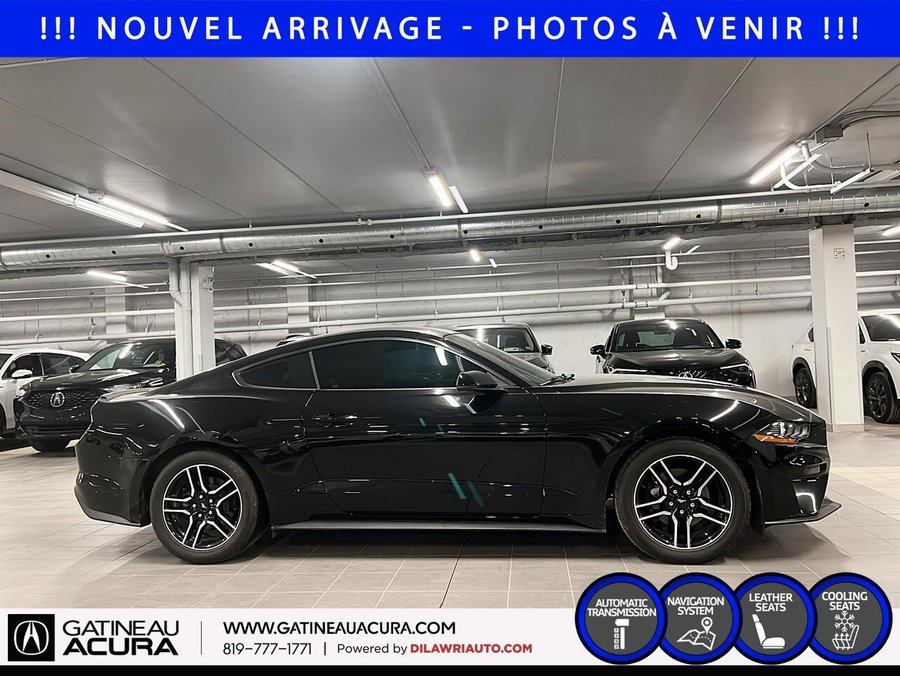 Ford Mustang 2019 2019 Noir