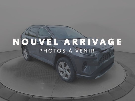 2020 Toyota RAV4 2020 Grey