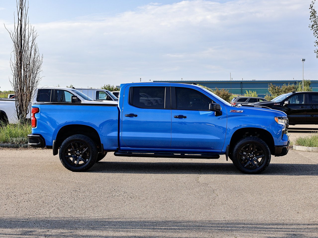 2025 Chevrolet Silverado 1500 4WD Crew Cab 147 LT Trail Boss Blue Sherwood Park - photo #13