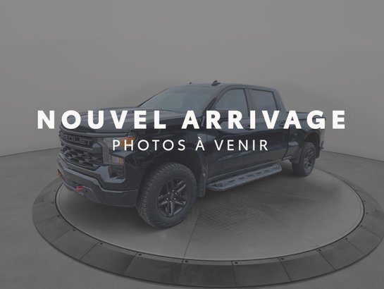 2024 Chevrolet Silverado 1500 2024 Black