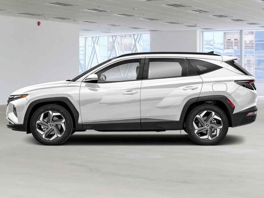 Hyundai Tucson 2024 2024 Blanc