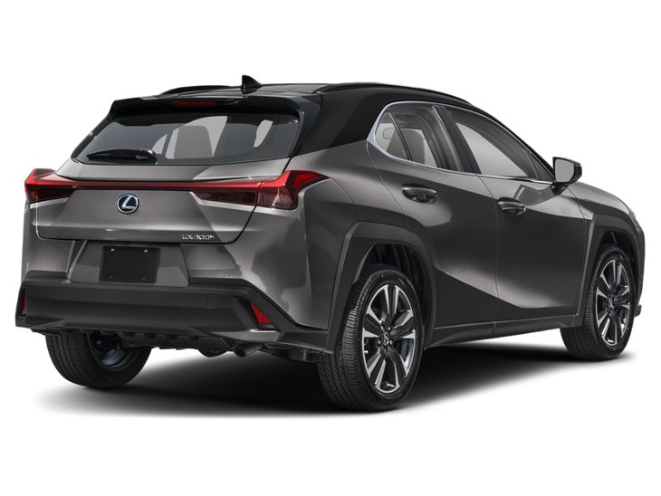 2025 Lexus UX UX 300h
