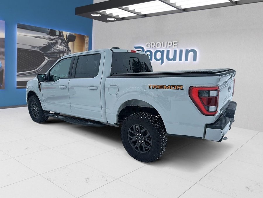 Ford F-150 2023 2023 Blanc