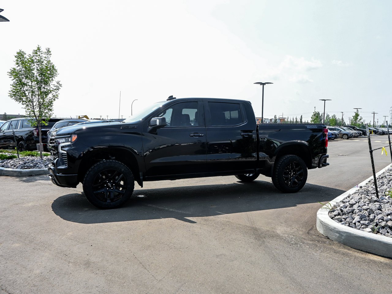 2025 Chevrolet Silverado 1500 4WD Crew Cab 147 LT Trail Boss Black Sherwood Park - photo #9