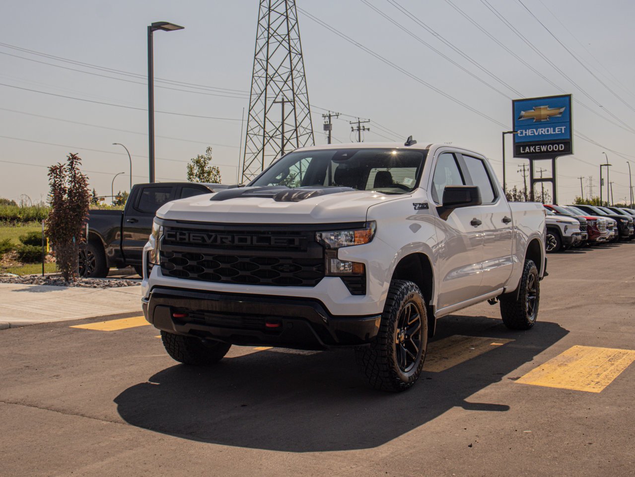 2024 Chevrolet Silverado 1500 4WD Crew Cab 147 Custom Trail Boss White Sherwood Park - photo #3