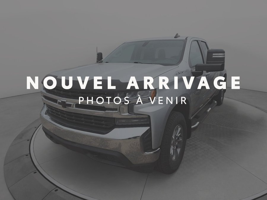 2020 Chevrolet Silverado 1500 2020 Grey