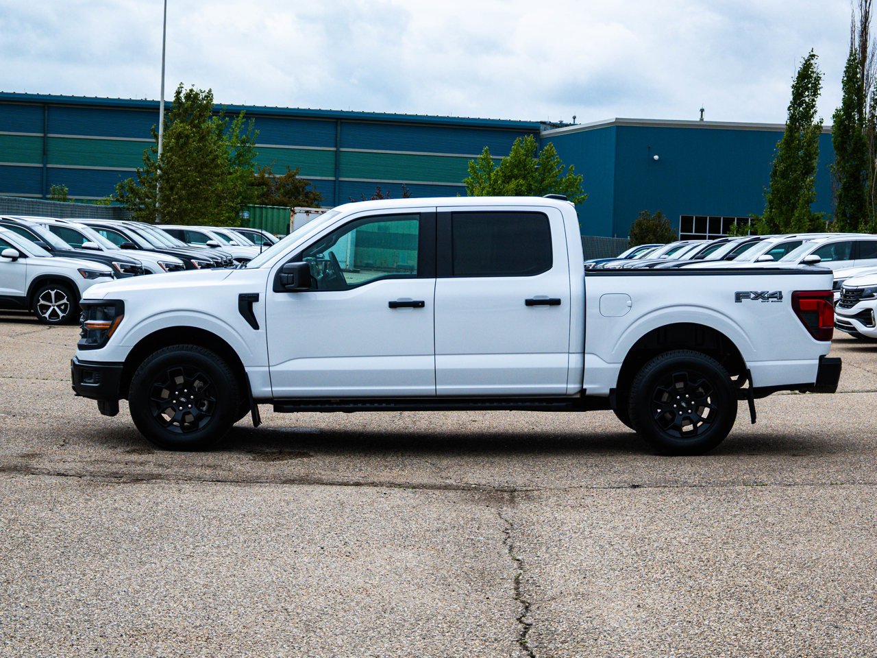 2024 Ford F-150 STX 4WD SuperCrew 5.5' Box White Sherwood Park - photo #9