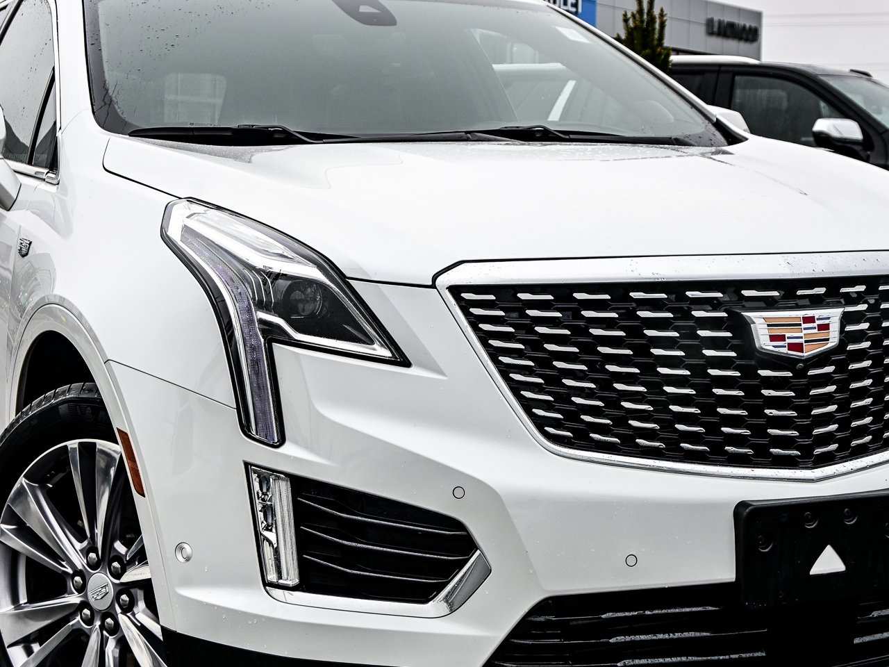 2024 Cadillac XT5 AWD 4dr Premium Luxury White Sherwood Park - photo #4