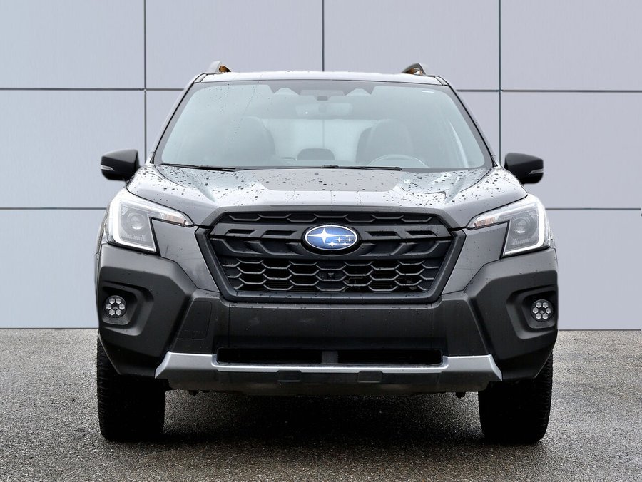 Subaru Forester Wilderness (CVT) 2023 Gris