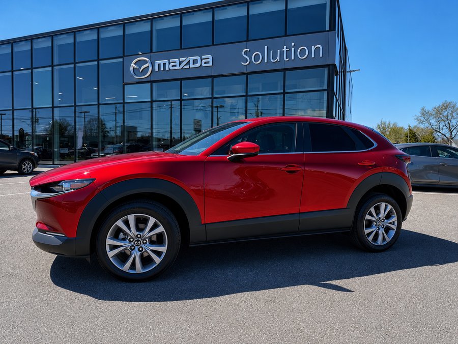 MAZDA CX-30 2024 2024 Rouge
