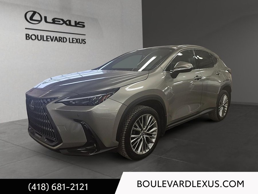 Lexus NX 2024 2024 Argent
