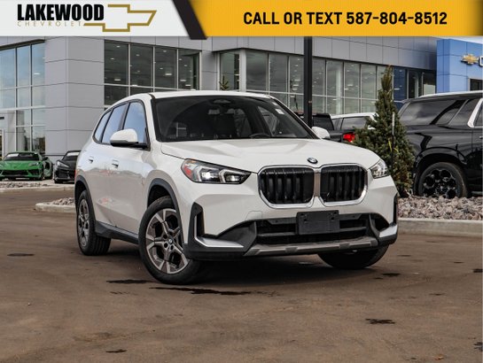 2025 BMW X1 2025 White