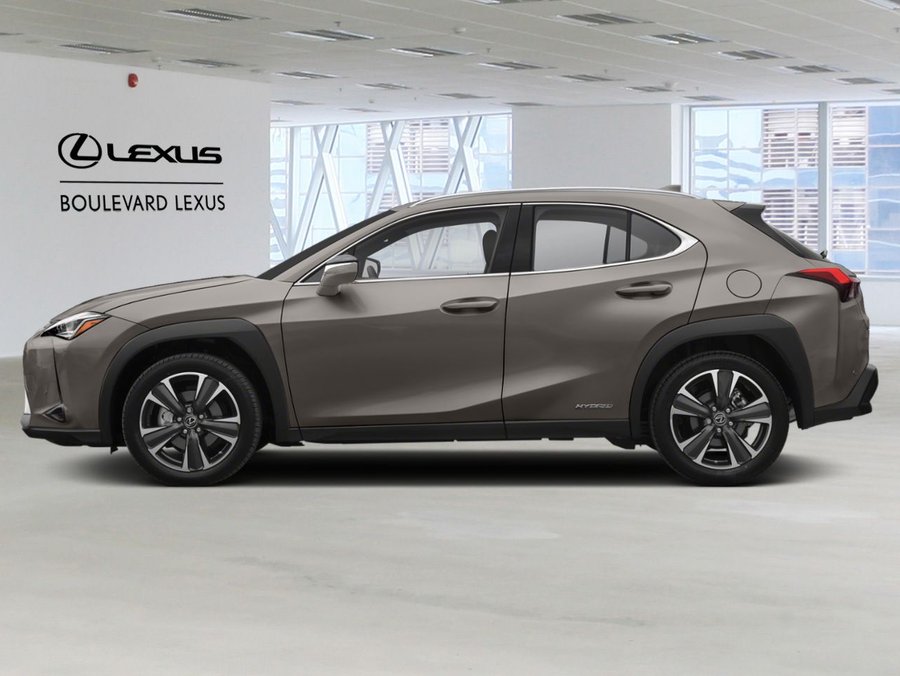 2021 Lexus UX 2021 Silver
