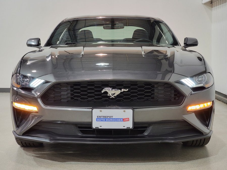 Ford Mustang EcoBoost Premium Fastback 2018 Gris