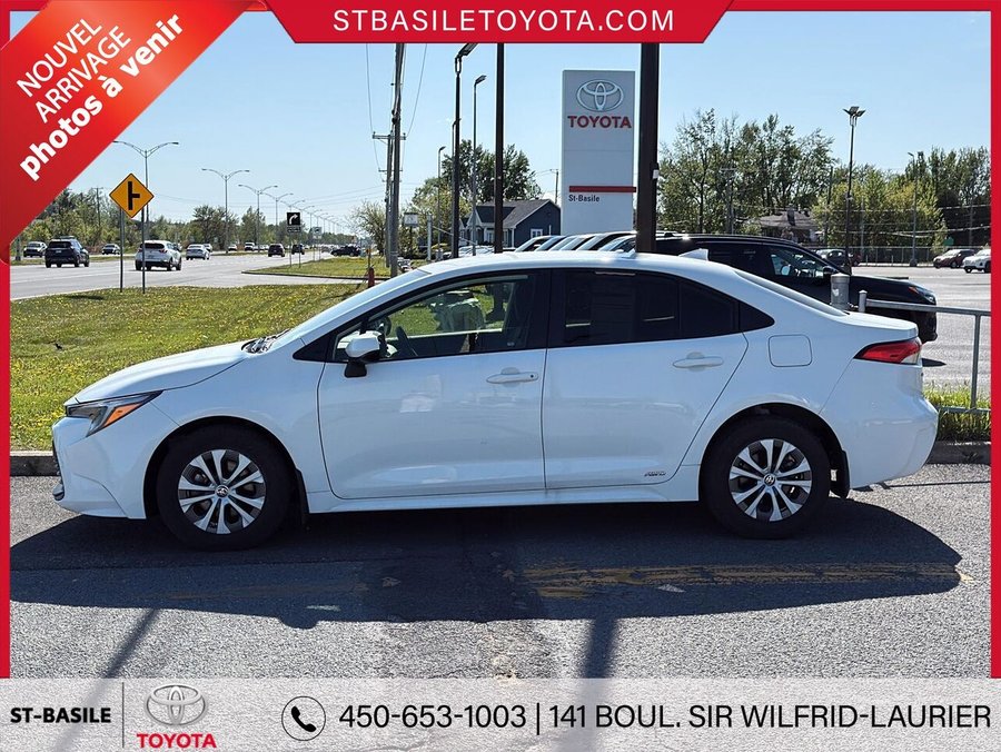 TOYOTA Corolla Hybride 2023 2023 Blanc