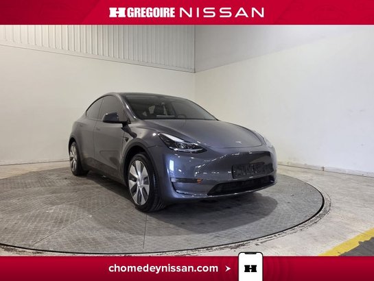 2023 Tesla Model Y 2023 Grey