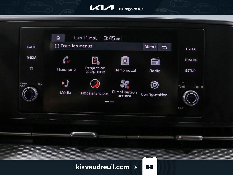Kia Carnival 2024 Gris Blainville - photo #18