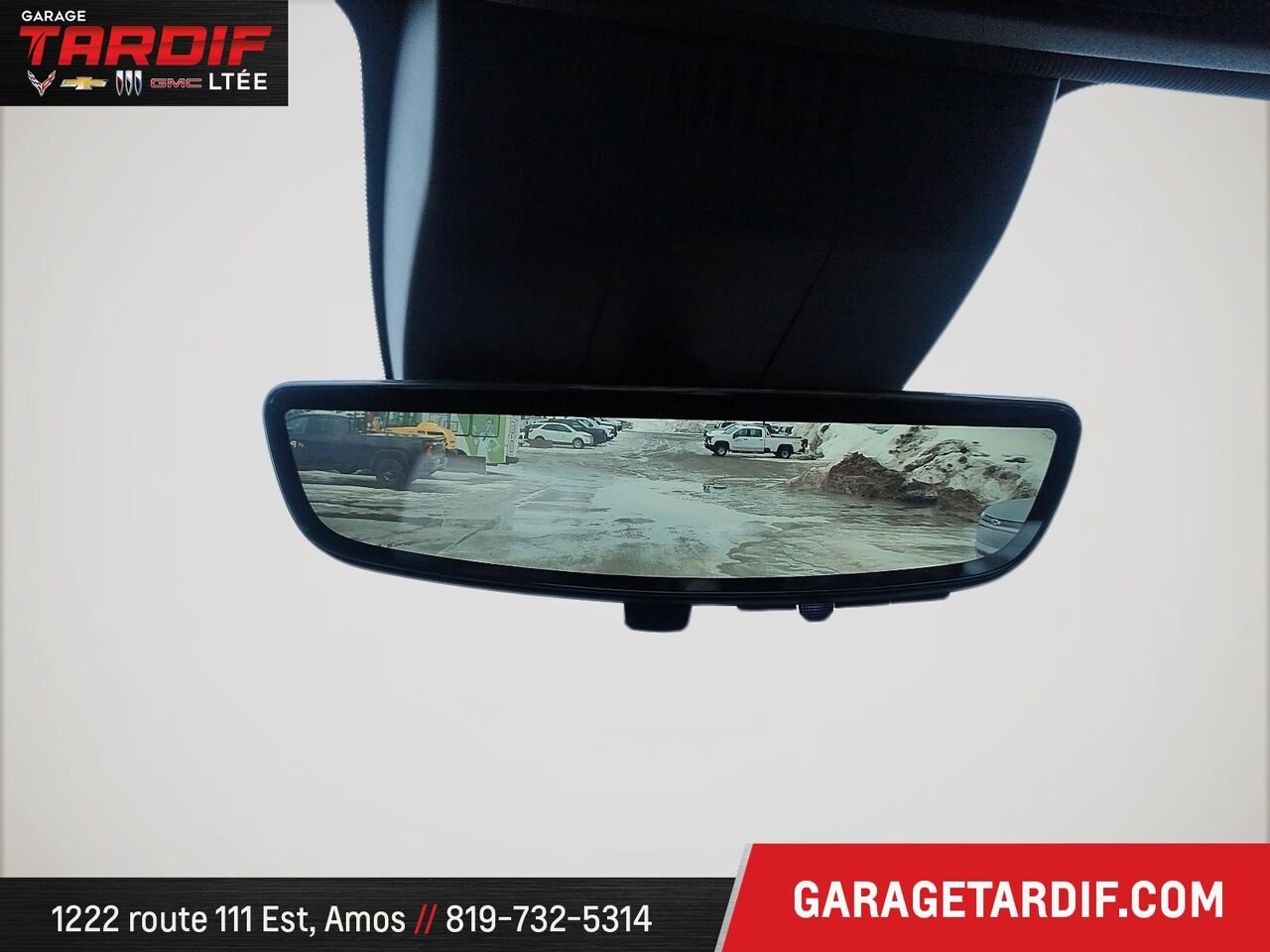 2022 Chevrolet Silverado 1500 Beige Amos - photo #12