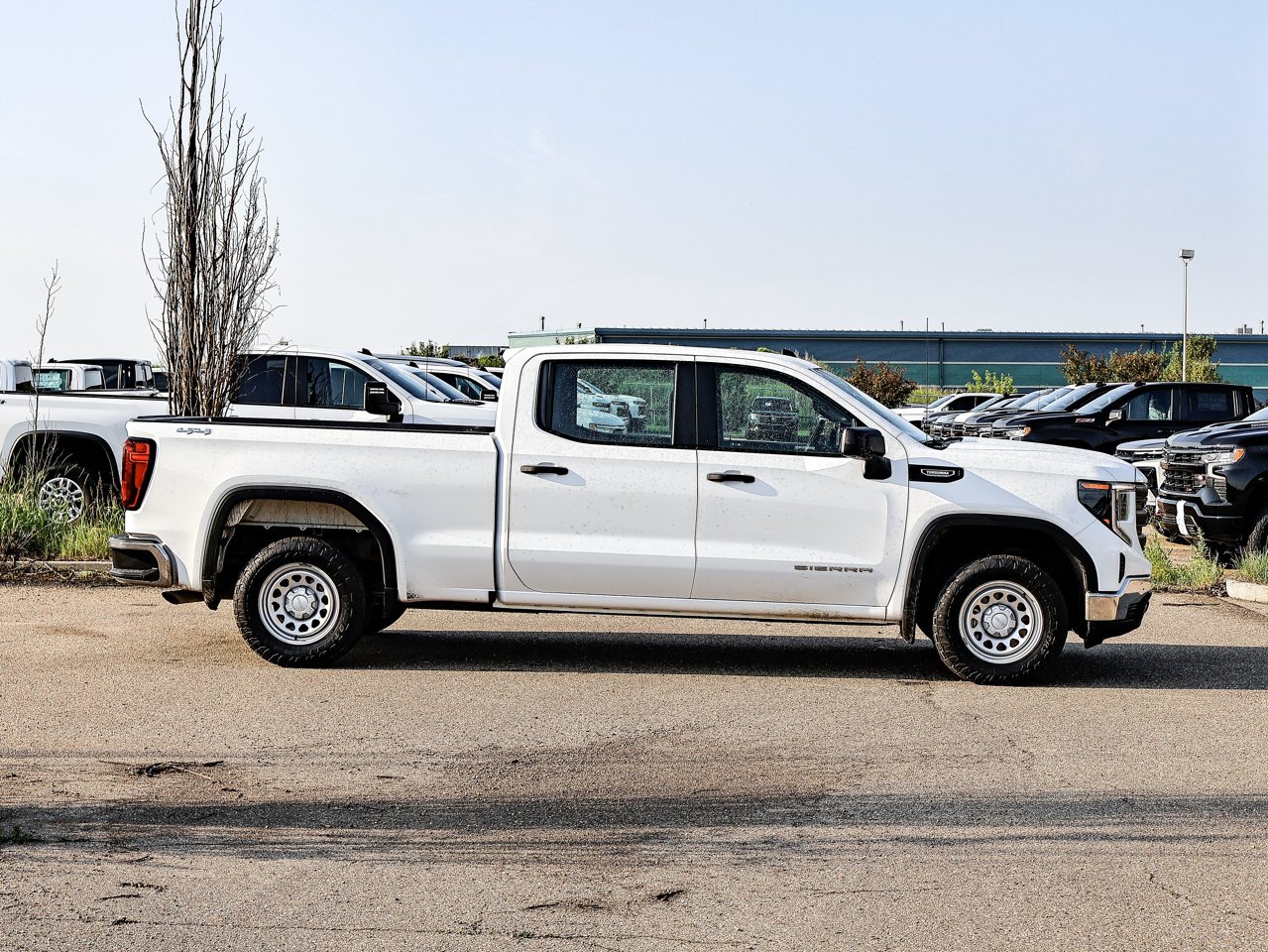 2024 GMC Sierra 1500 4WD Crew Cab 147 Pro White Sherwood Park - photo #13