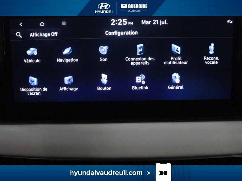 Hyundai Palisade 2023 Blanc Laval - photo #31
