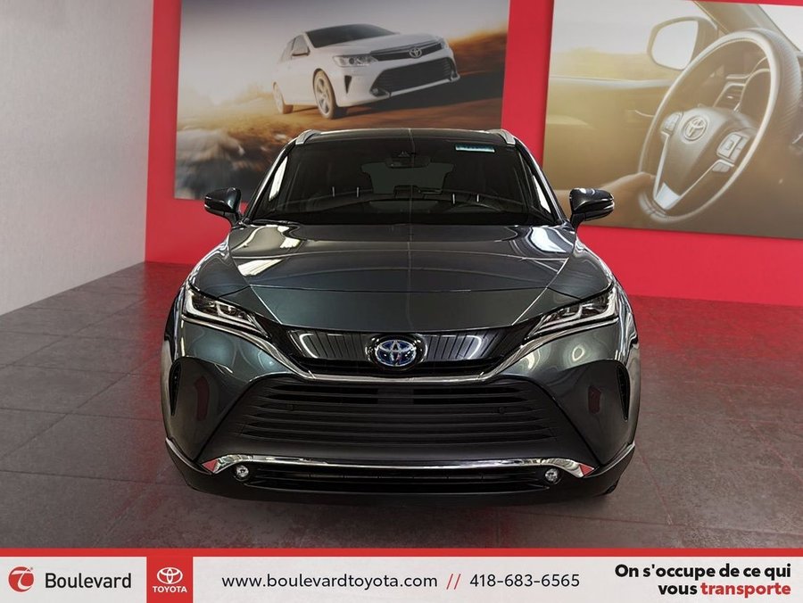 2024 Toyota Venza 2024 Blue