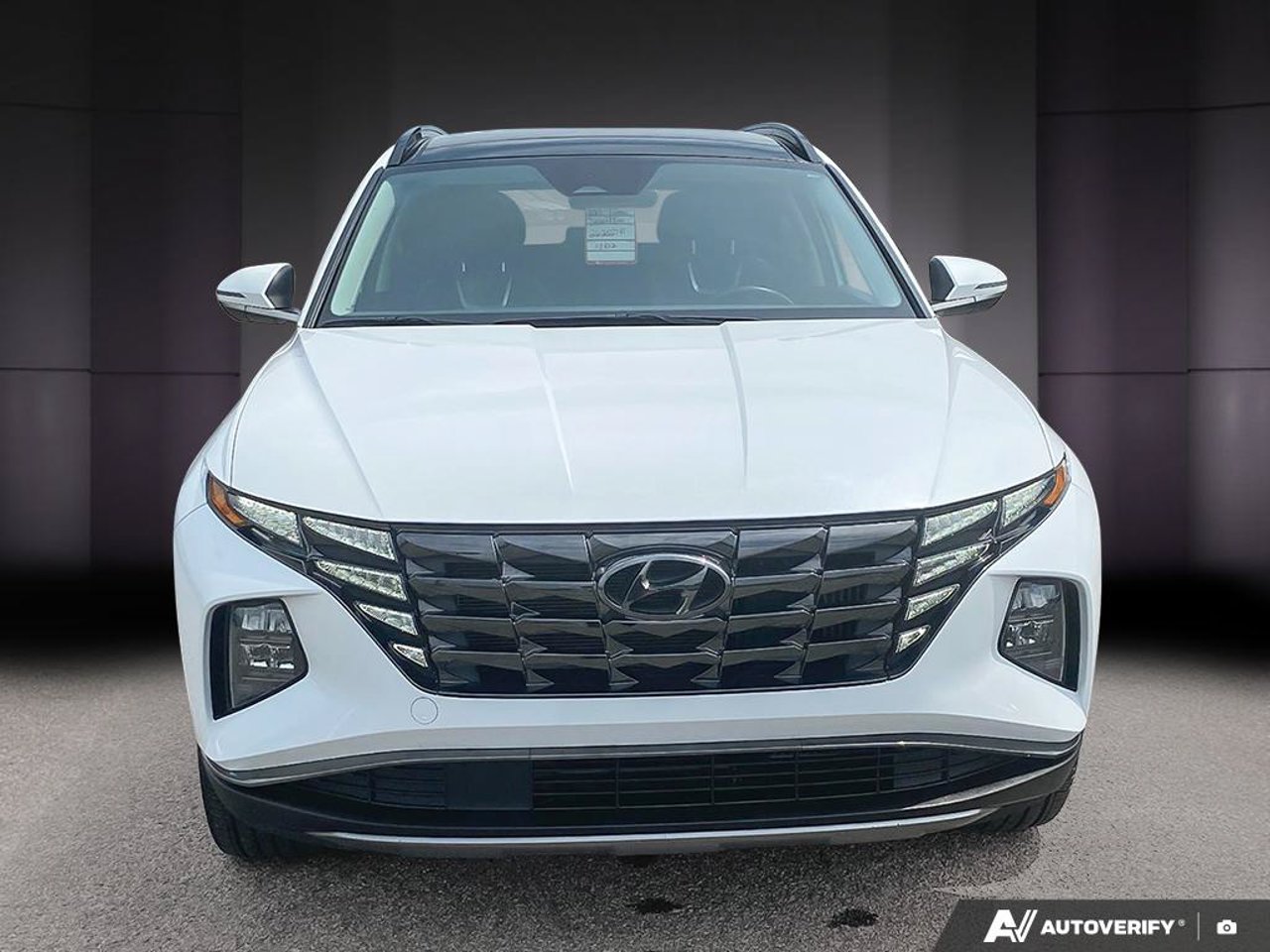 Hyundai Tucson hybride KM8JCCA13PU113802 2023 Blanc Mirabel - photo #7