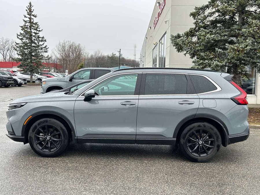 Honda HondaCR_V 2024 2024 Gris