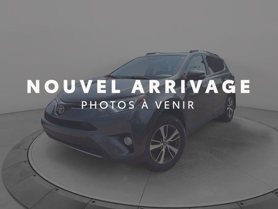Toyota RAV4 2018 2018 Gris