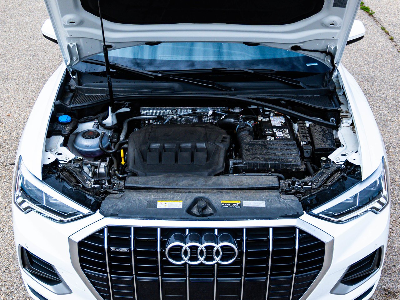 2025 Audi Q3 40 TFSI quattro White Sherwood Park - photo #8