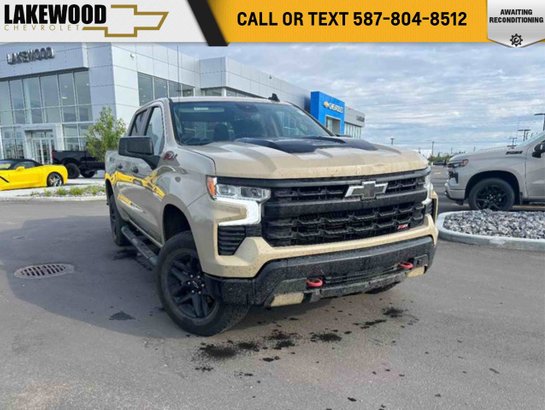 2022 Chevrolet Silverado 1500 2022 Beige