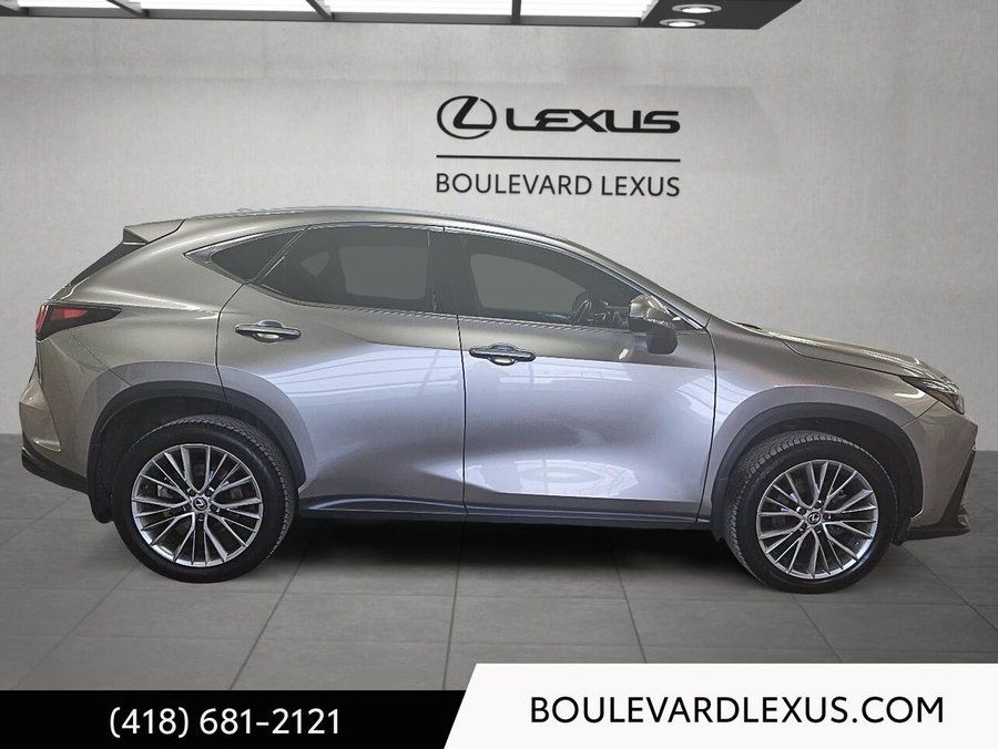 Lexus NX 2024 2024 Argent