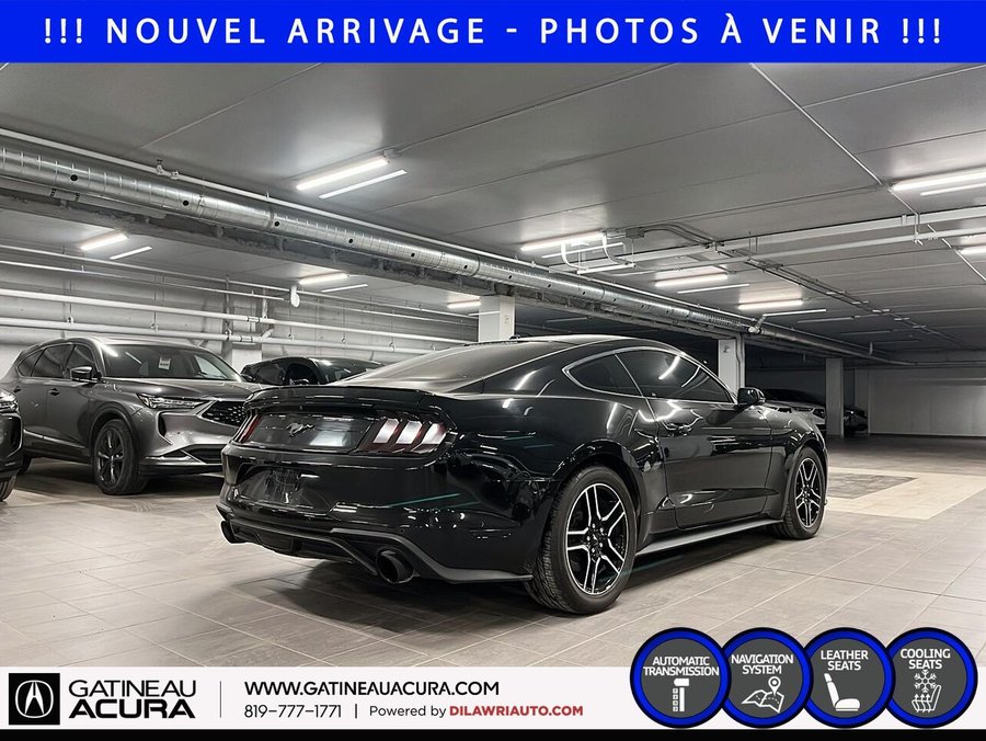 Ford Mustang 2019 2019 Noir