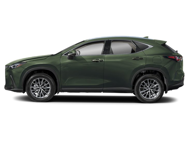 2025 Lexus NX NX 350