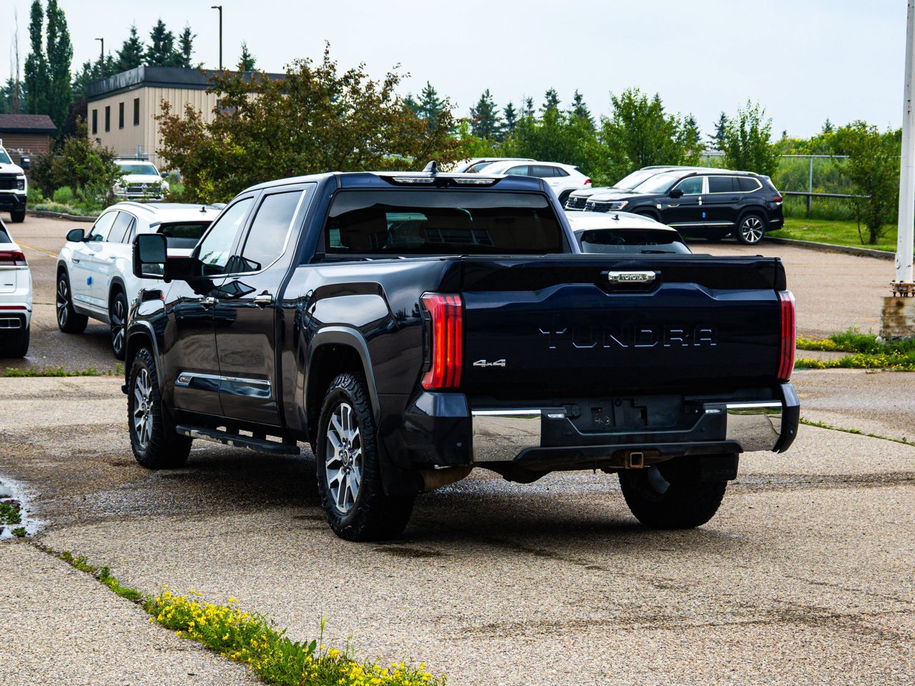 2022 Toyota Tundra 4x4 Crewmax Platinum Long Bed Blue Sherwood Park - photo #10