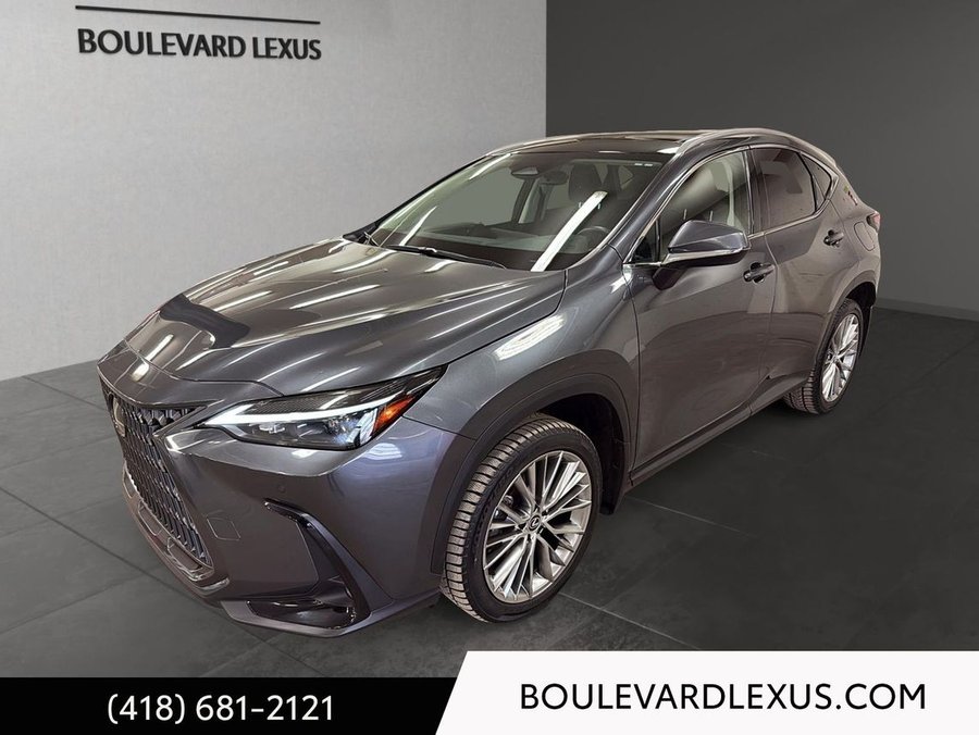 Lexus NX 2024 2024 Gris