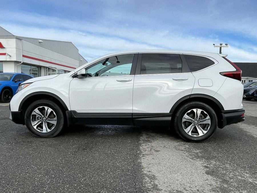Honda CR-V LX 2021 2021 Blanc