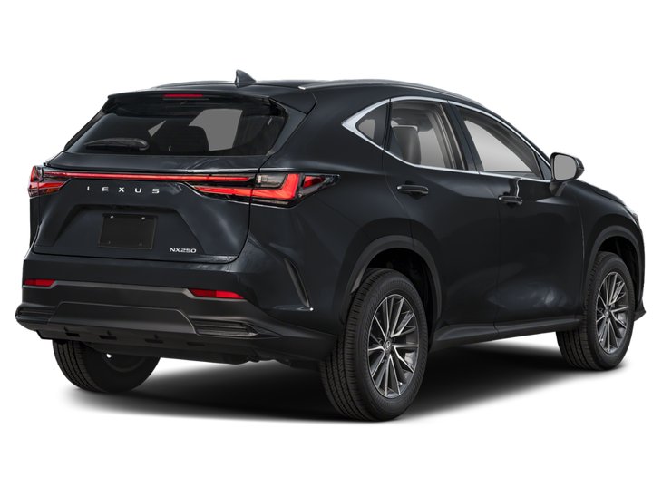 2025 Lexus NX NX 250