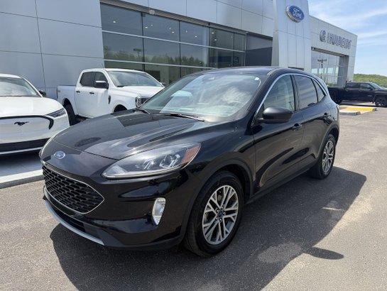 2022 Ford Escape 2022 Black