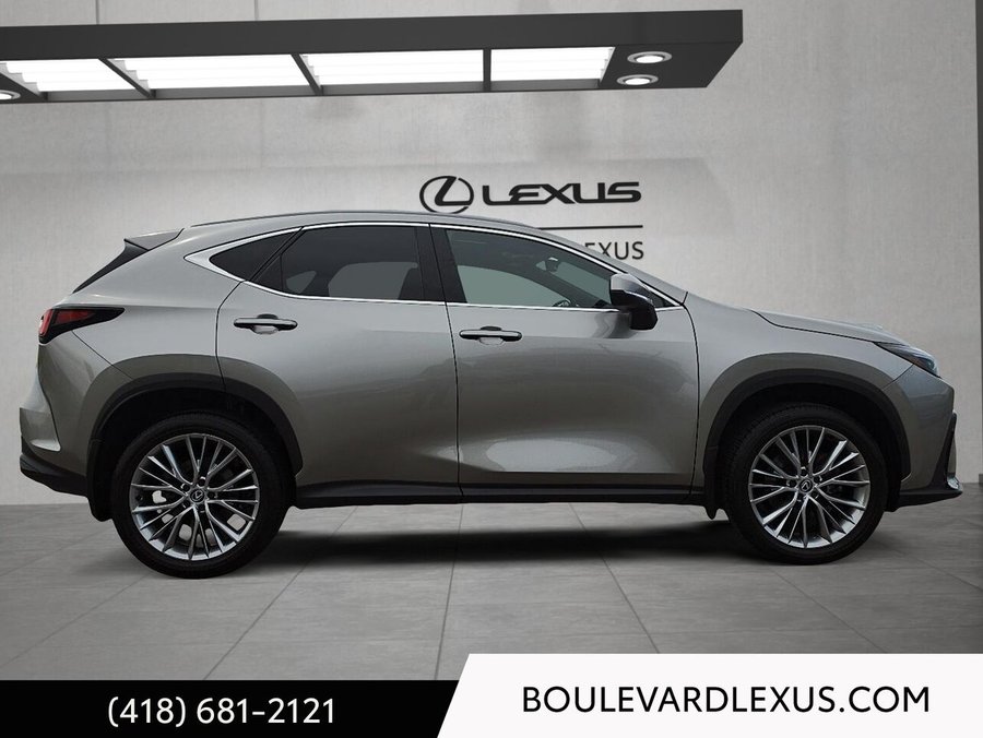 2024 Lexus NX 2024 Silver