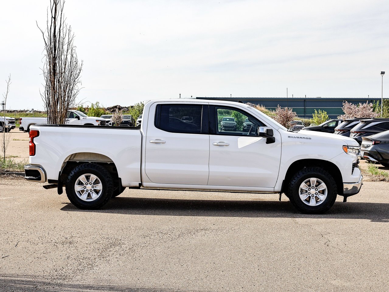 2025 Chevrolet Silverado 1500 4WD Crew Cab 147 LT White Sherwood Park - photo #13