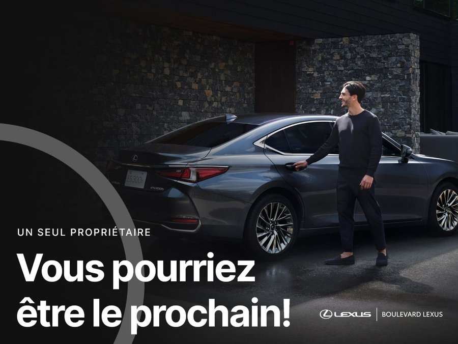 Lexus NX 2024 2024 Bleu