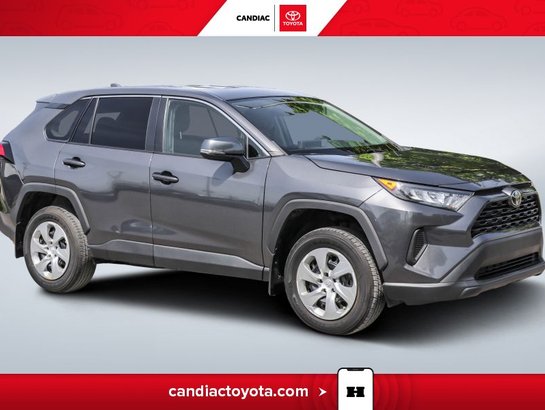 2022 Toyota Rav 4 2022 Grey