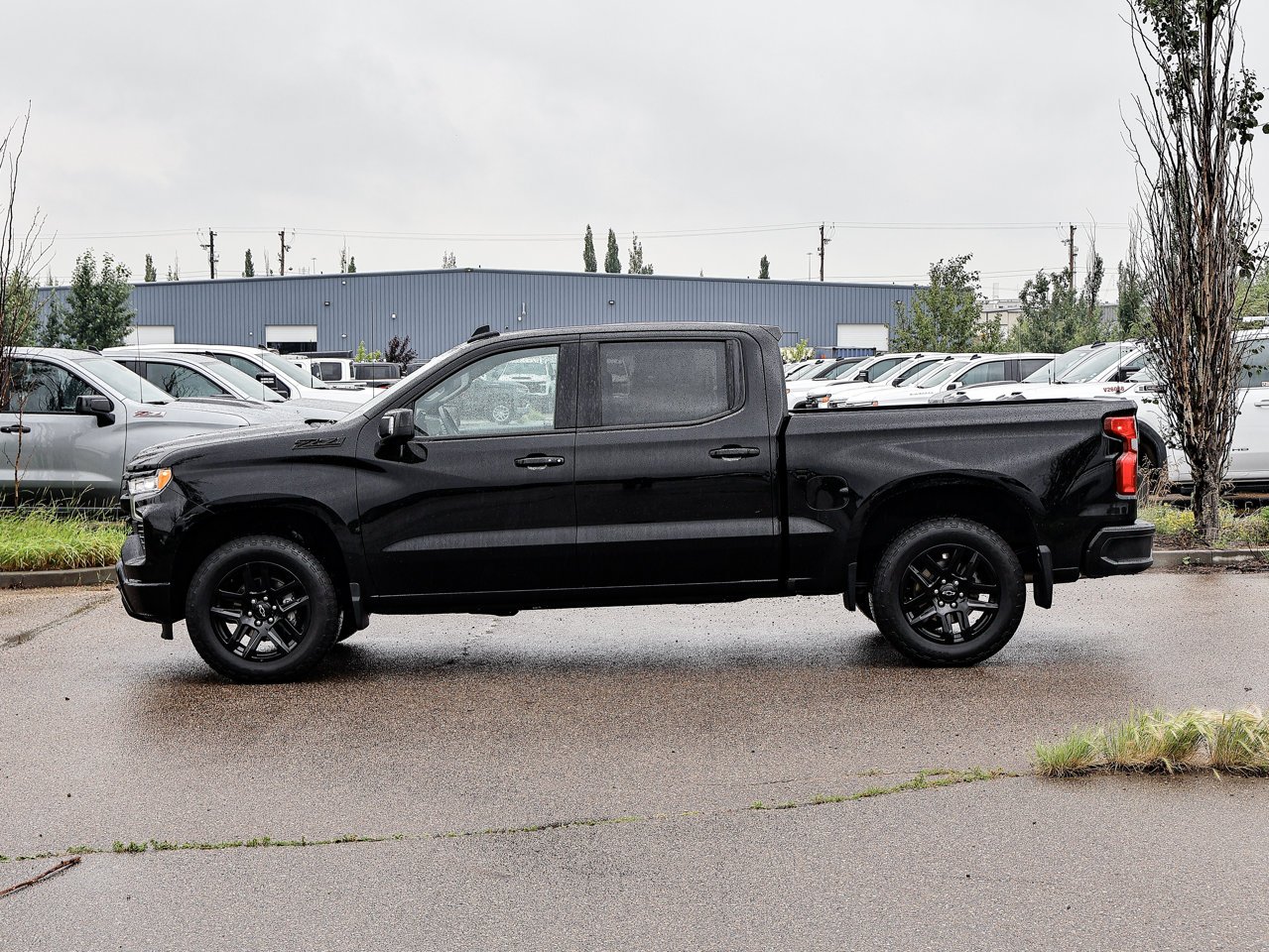 2024 Chevrolet Silverado 1500 4WD Crew Cab 147 RST Black Sherwood Park - photo #9