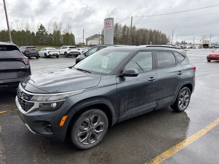 Kia Seltos 2024 2024 Gris